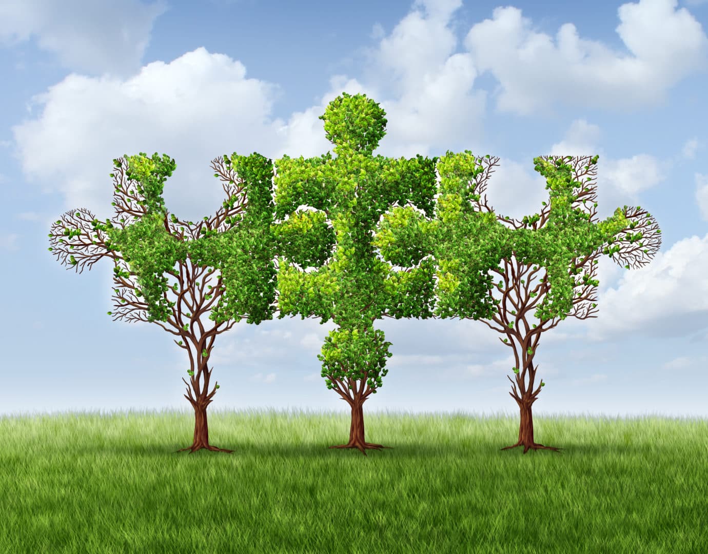 Cooperation trees | 2050Today