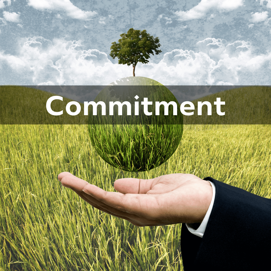 Commitment (6) | 2050Today