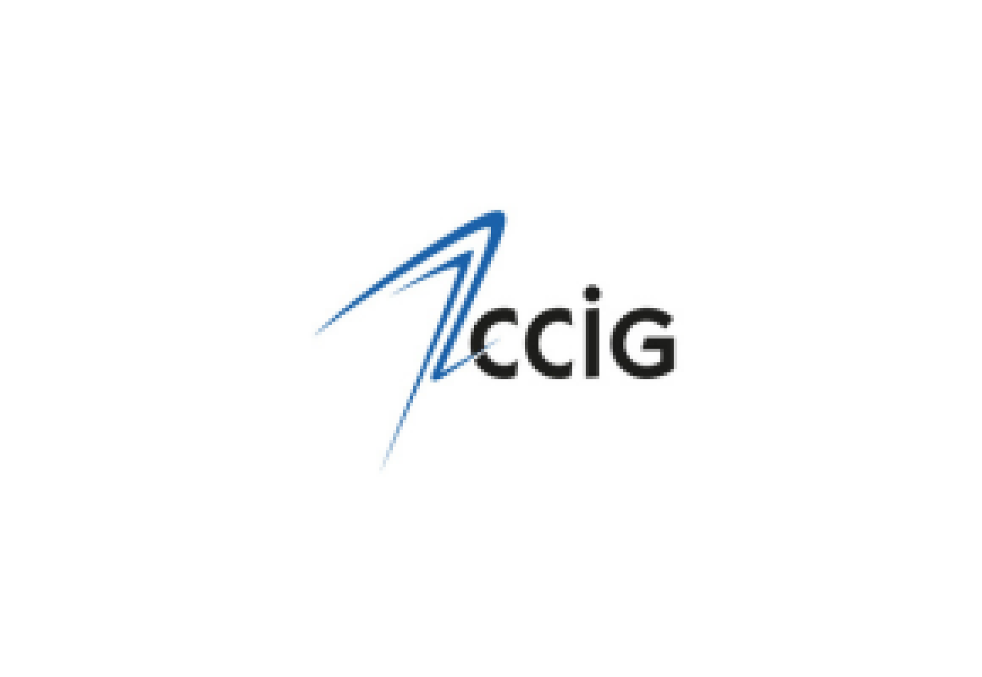 CCIG_logo_2050Today website _300x200