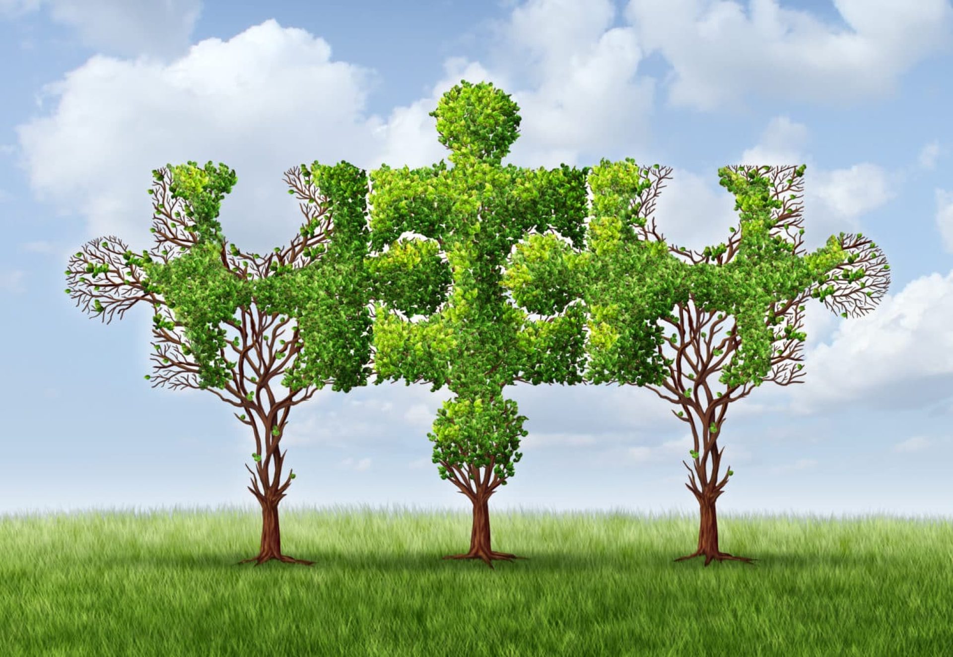 Cooperation trees Cooperation trees