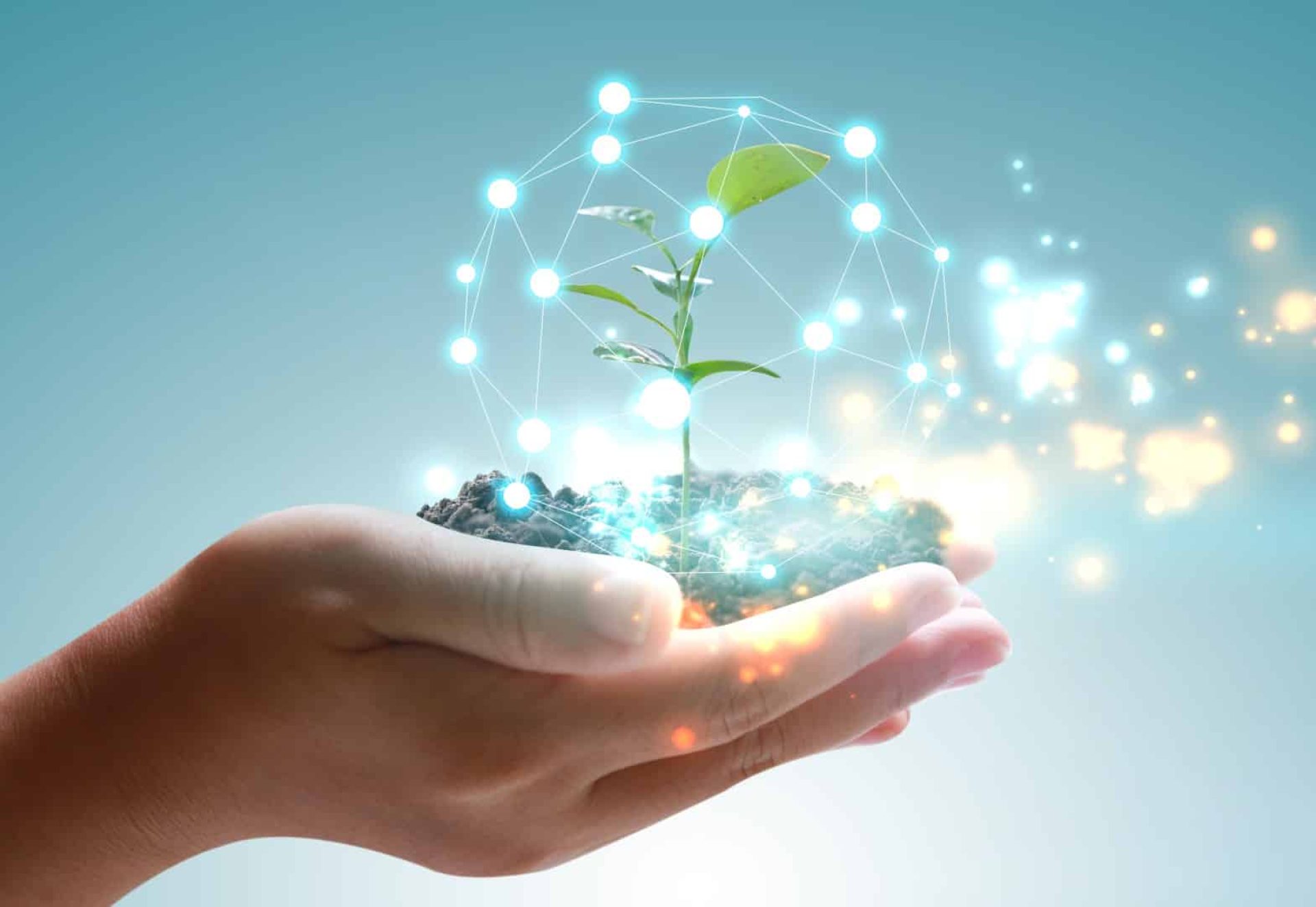 Main tenant un globe avec une plante verte qui pousse. Concept respectueux de l’environnement Main tenant un globe avec une plante verte qui pousse. Concept respectueux de l'environnement