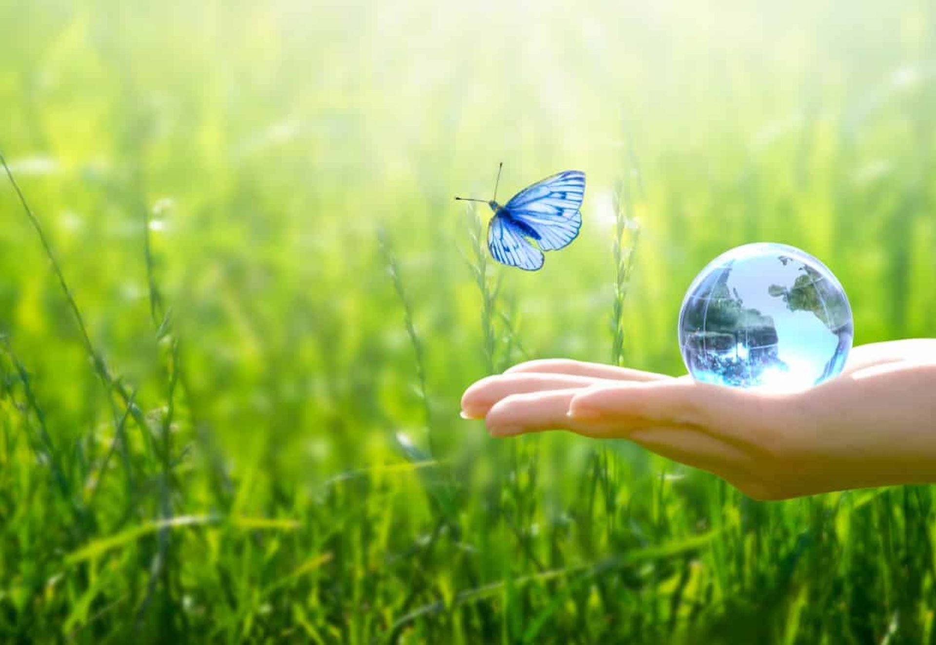 Sauver l’environnement, sauver une planète verte propre, concept écologique. Carte pour la Journée mondi Sauver l'environnement, sauver une planète verte propre, concept écologique. Carte pour la Journée mondi