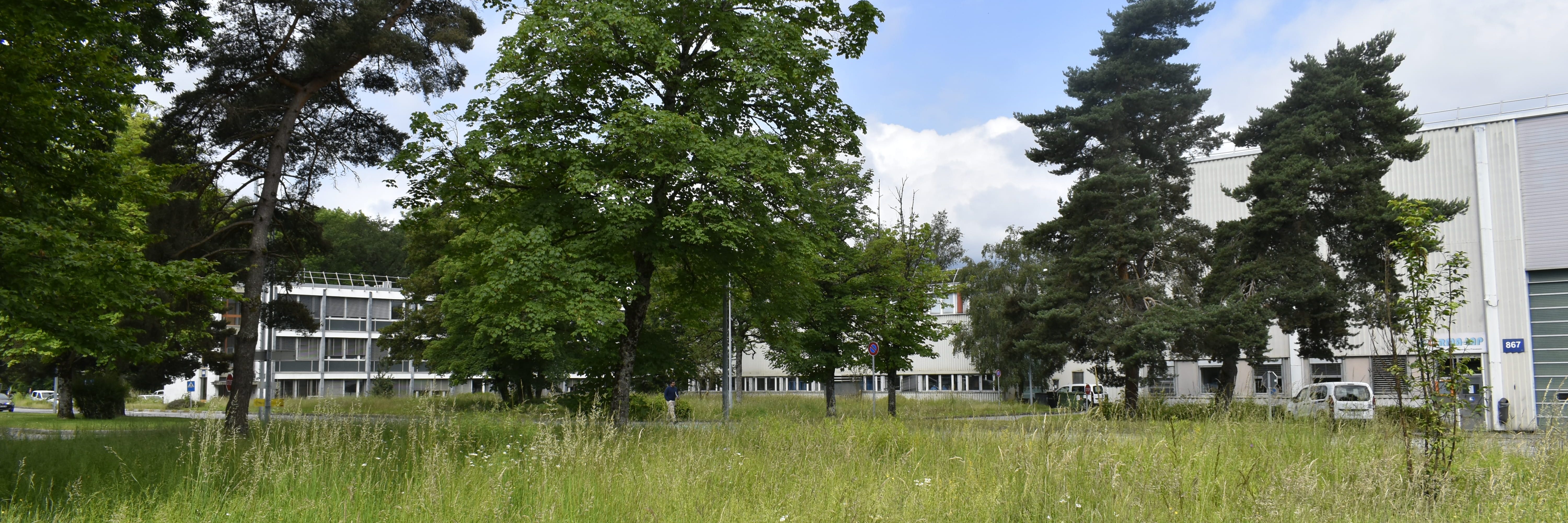 Terrain CERN_DSC0389