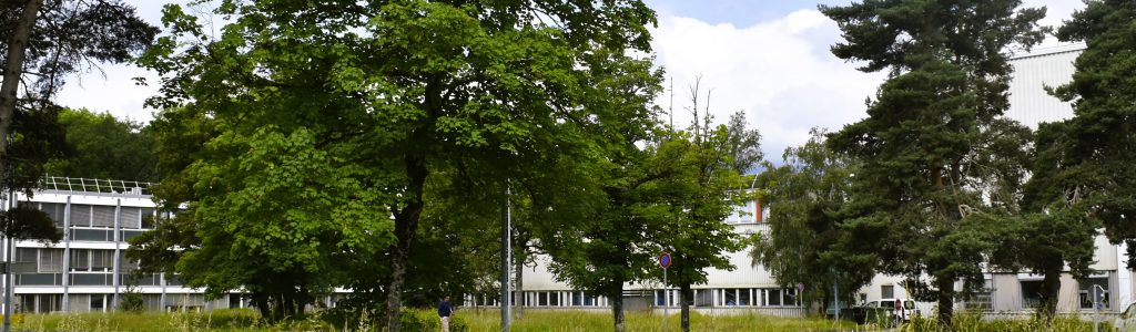 Terrain CERN_DSC0389_square