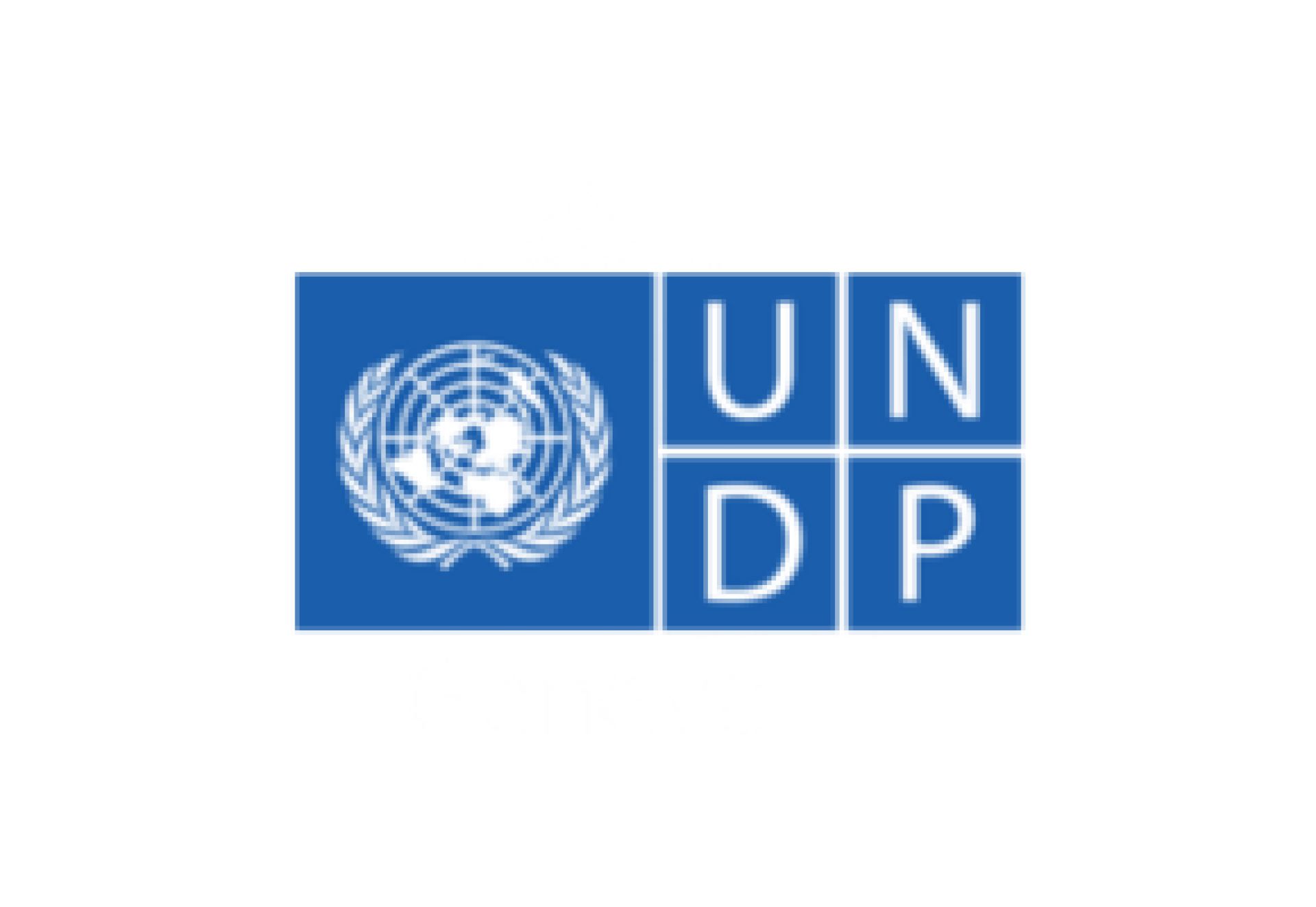 UNDP_logo_2050Today website_300x200
