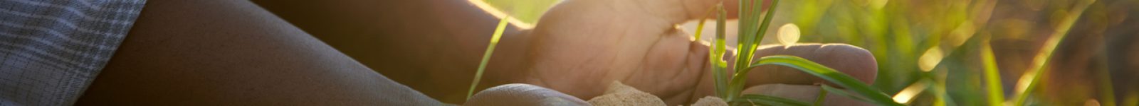 These little ones are growing faster than expected