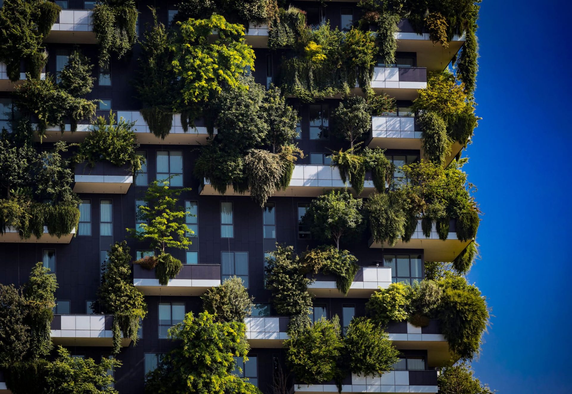Milan,,Italy,-,6,June,2018:,Bosco,Verticale.two,Modern,Buildings Milan,,Italy,-,6,June,2018:,Bosco,Verticale.two,Modern,Buildings