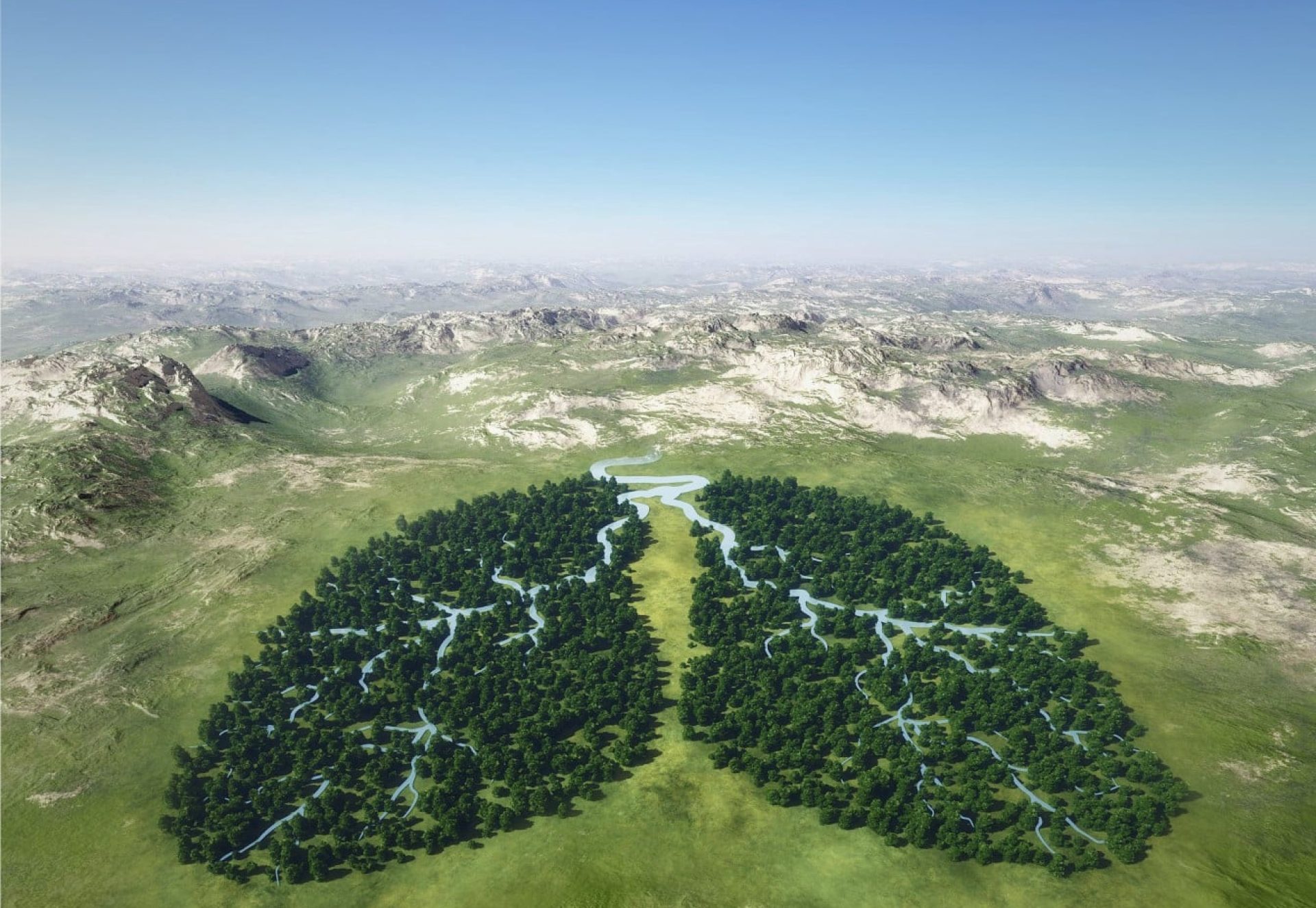 poumon vert poumon vert