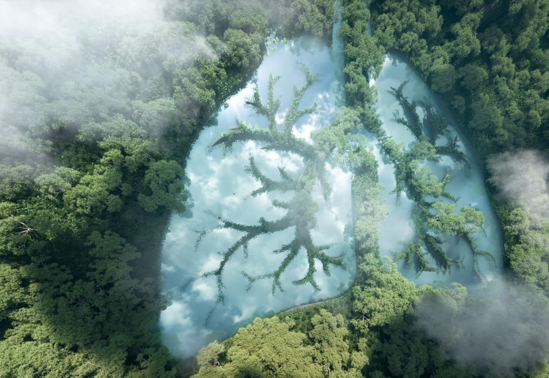 Green,Lungs,Of,Planet,Earth.,3d,Rendering,Of,A,Clean Green,Lungs,Of,Planet,Earth.,3d,Rendering,Of,A,Clean