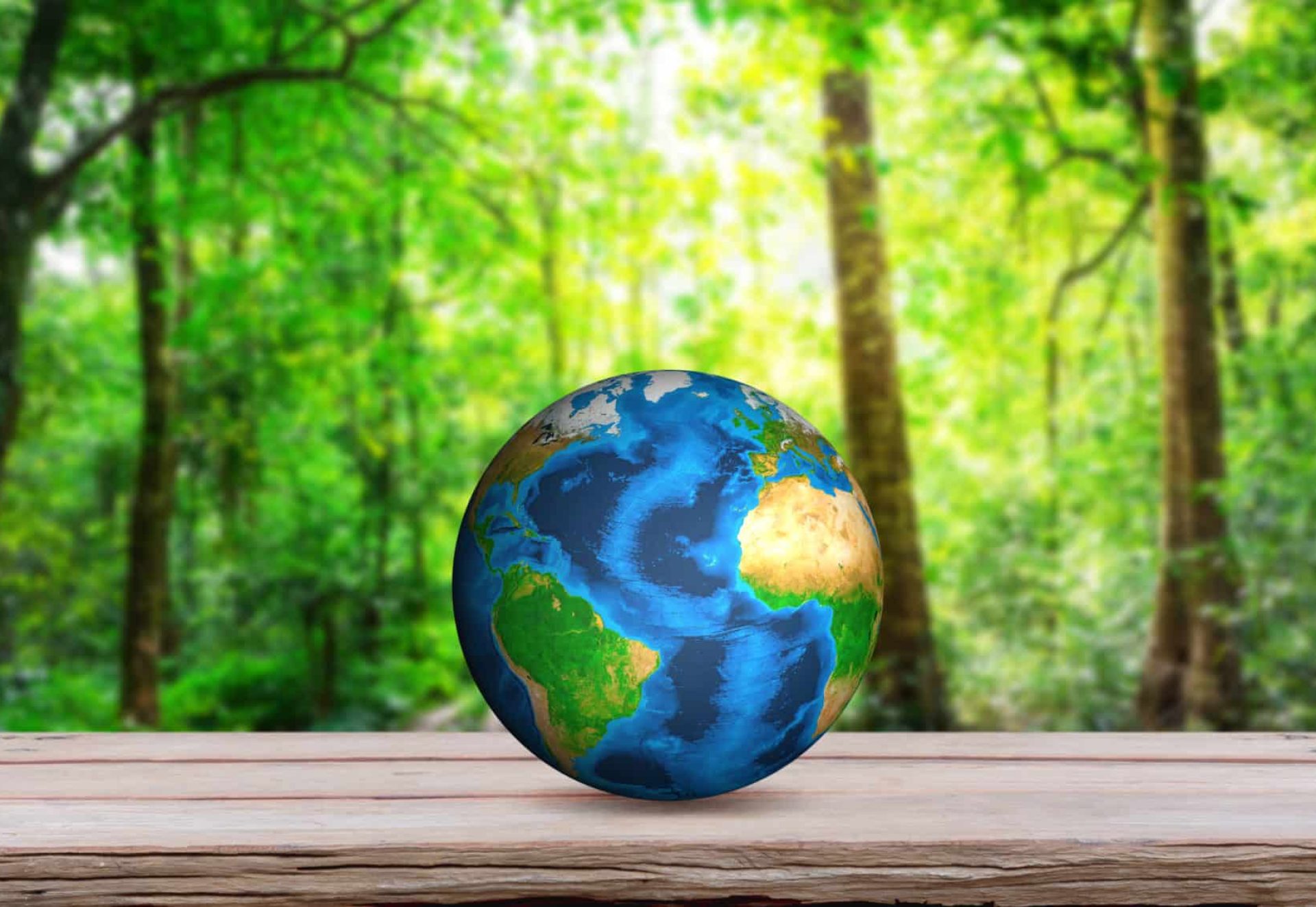 shutterstock_269852897 shutterstock_269852897