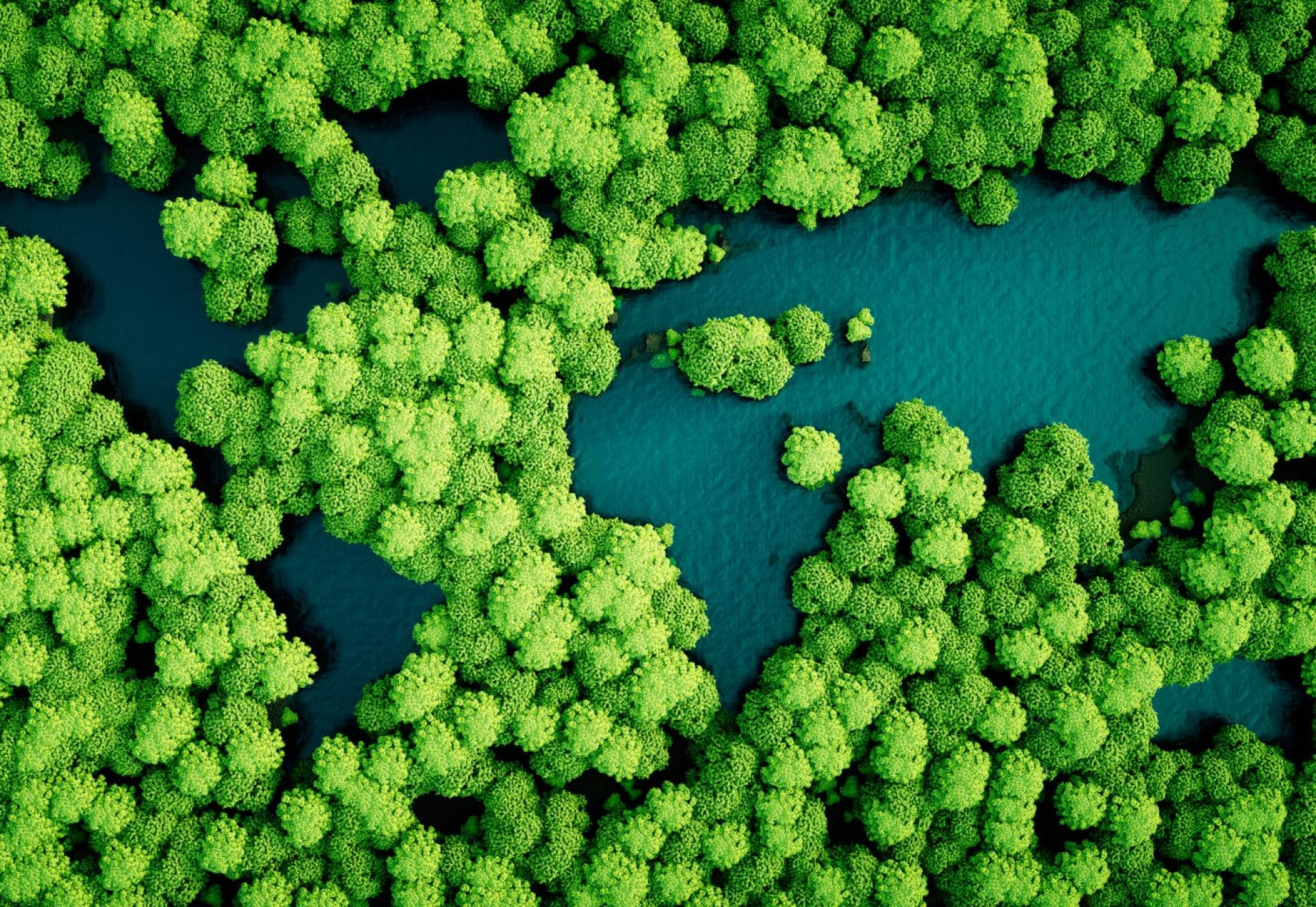 Rainforest,Lakes,In,The,Shape,Of,World,Continents.,Environmentally,Friendly