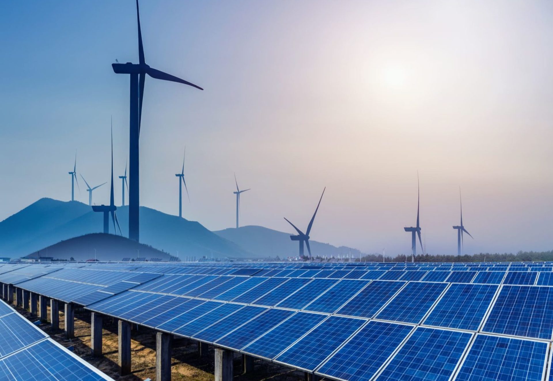 shutterstock_767484865 shutterstock_767484865