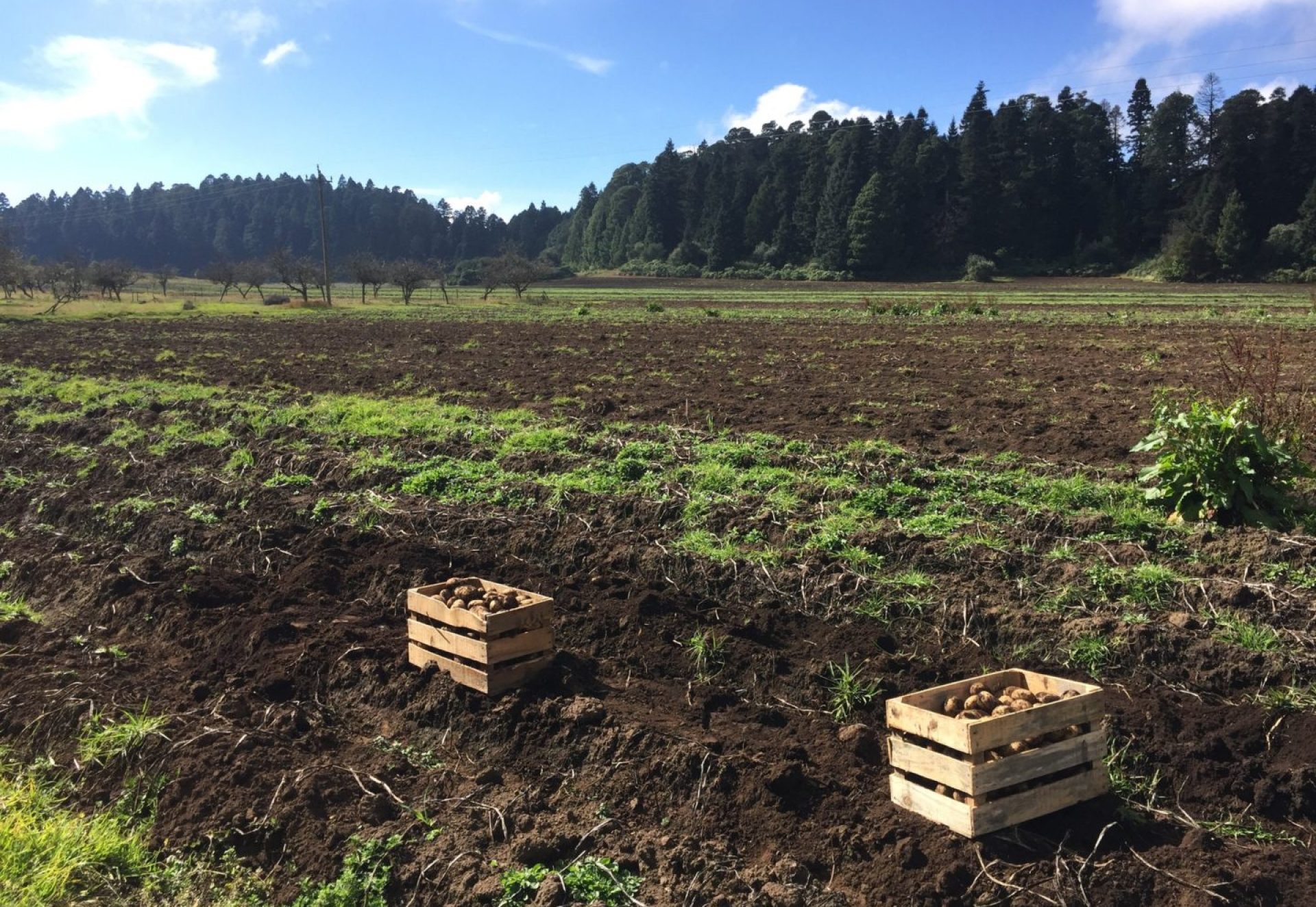 Sustainability Sustainability